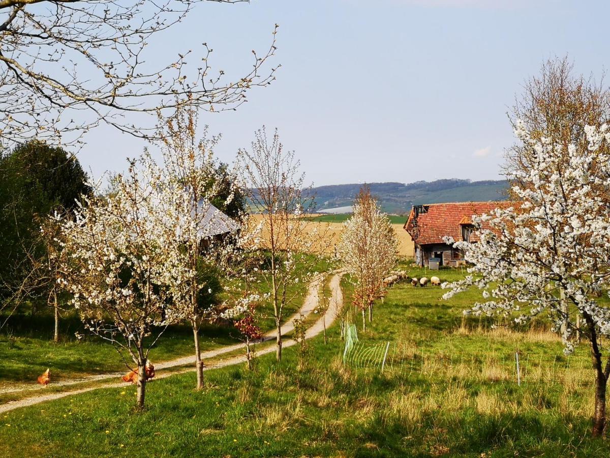 Nature Monchy Campneuseville 외부 사진
