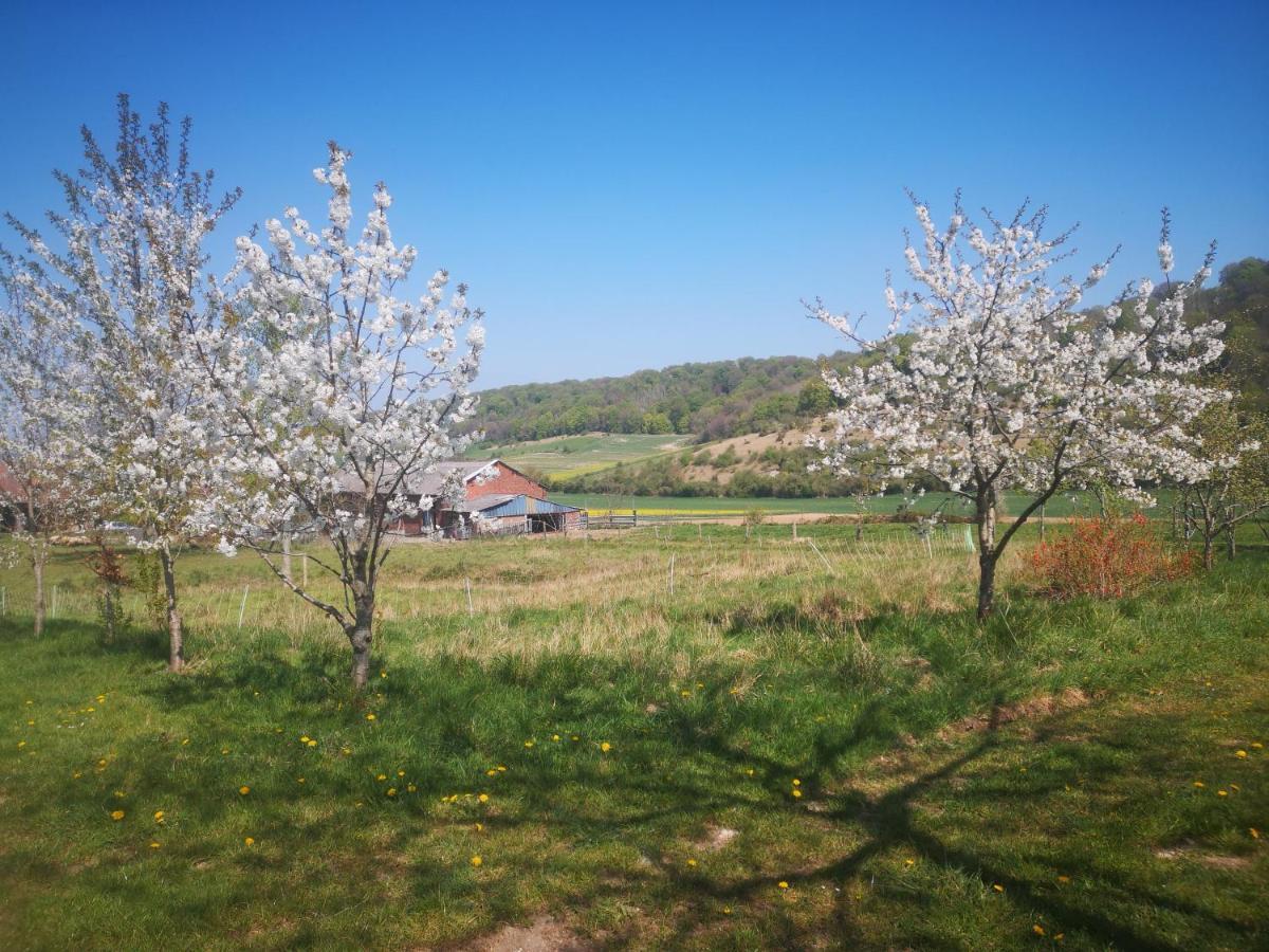 Nature Monchy Campneuseville 외부 사진